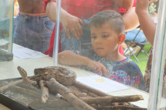 Feria-uaa-IMG_3733