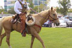 Generales-Domingo-IMG_3780