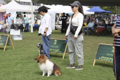 Generales-Domingo-IMG_4169