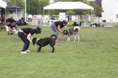 Generales-Domingo-IMG_4209
