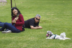 Generales-Domingo-IMG_4553