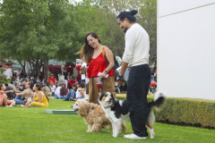 Generales-Domingo-IMG_4731