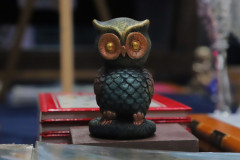Feria-de-Libro-IMG_1050