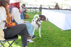Feria-uaa-IMG_1668