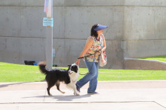 Feria-uaa-IMG_1709