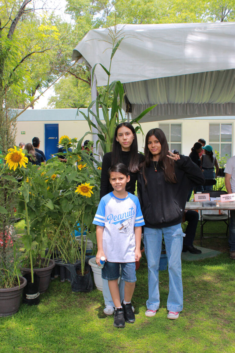 domingo-generales-99