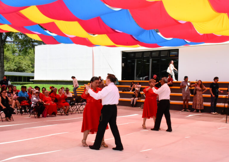 foro-vitruvio-1