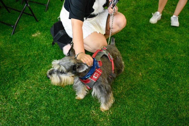 petzone-mascotas-15