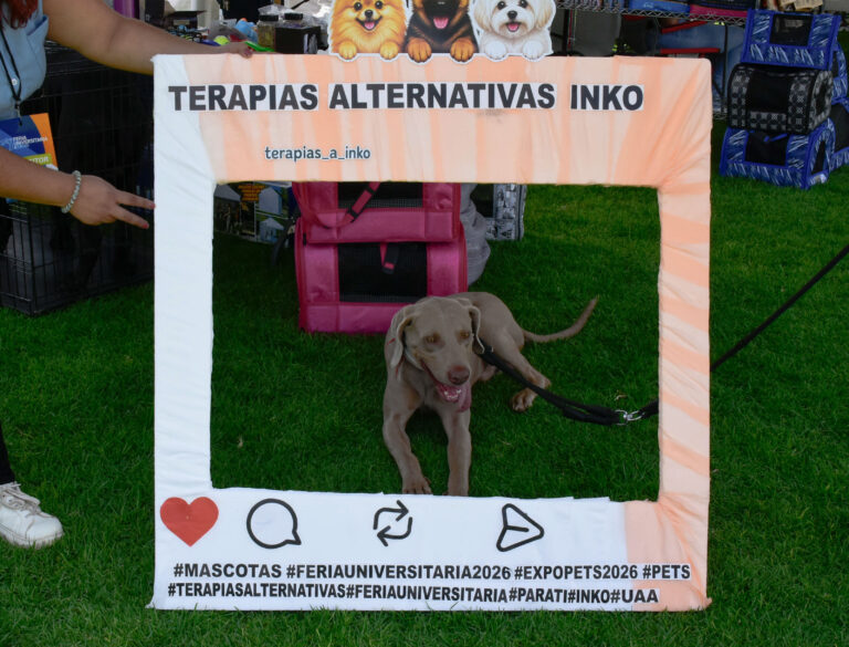 petzone-mascotas-2