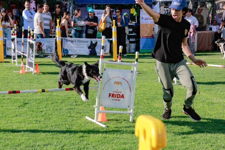 petzone-mascotas-32