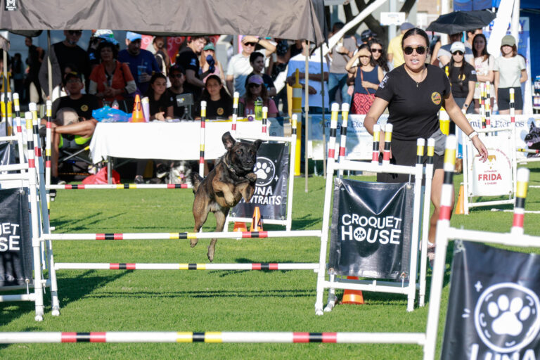 petzone-mascotas-34