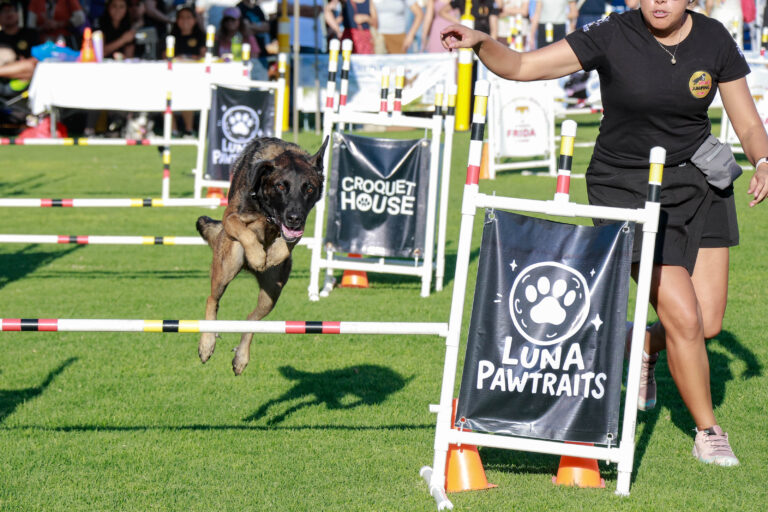 petzone-mascotas-35