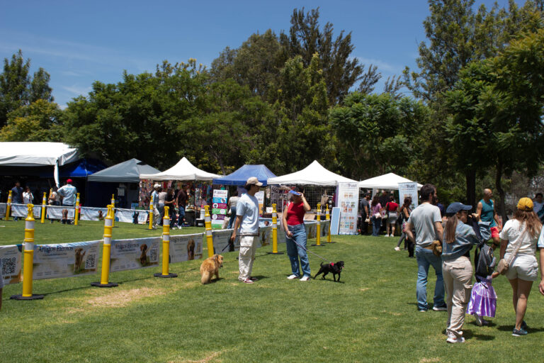 petzone-mascotas-39