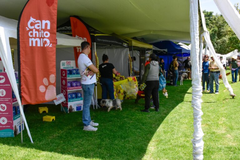 petzone-mascotas-4