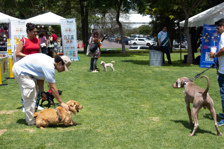 petzone-mascotas-41