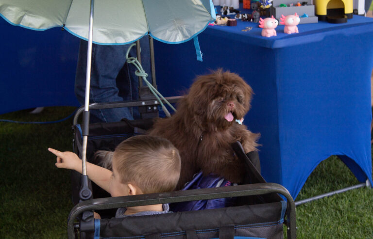 petzone-mascotas-46