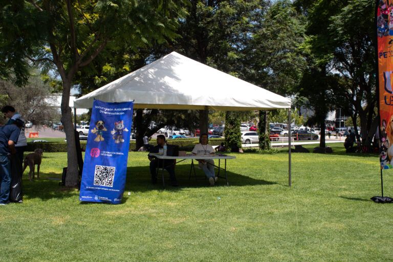 petzone-mascotas-47