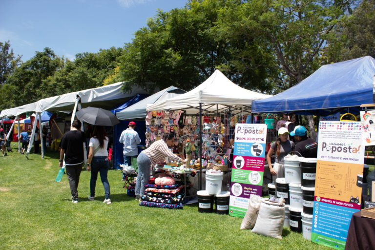 petzone-mascotas-49