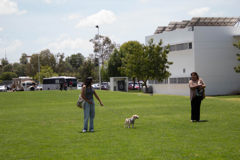 petzone-mascotas-56