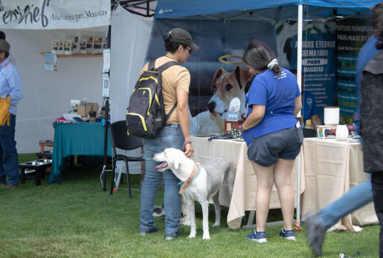petzone-mascotas-57
