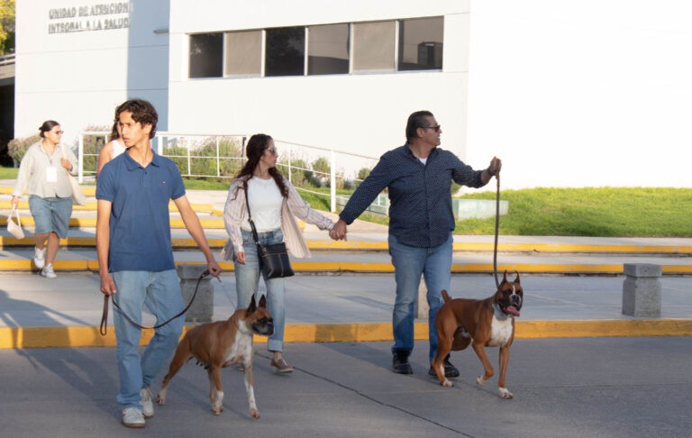 petzone-mascotas-59