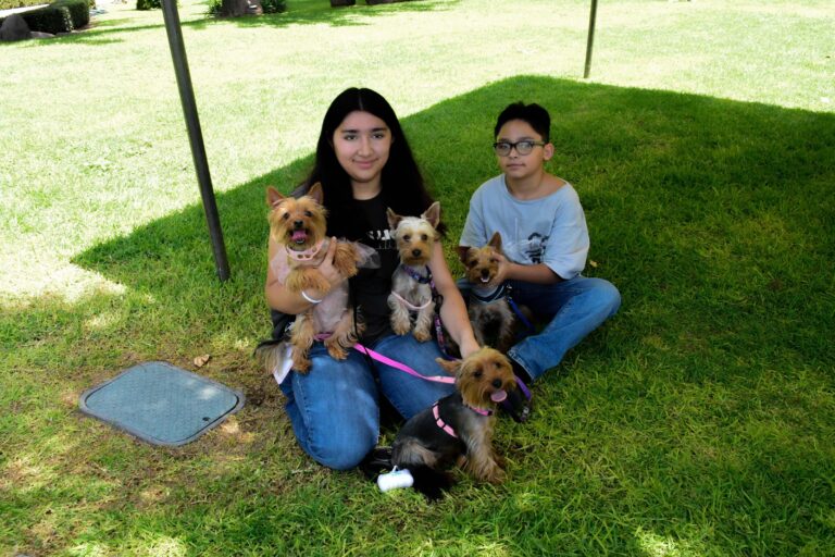 petzone-mascotas-6