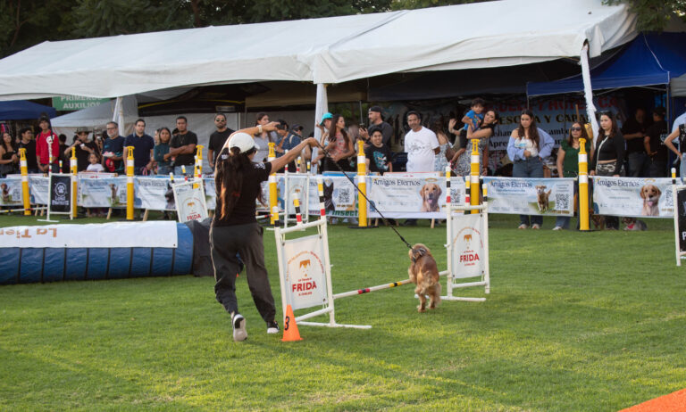 petzone-mascotas-63