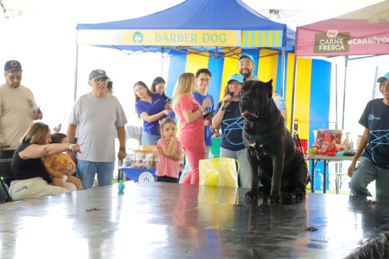 petzone-mascotas-76