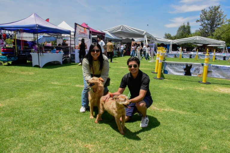 petzone-mascotas-8