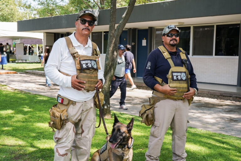 petzone-mascotas-87