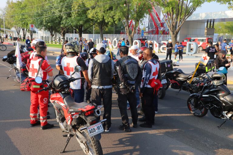 preparacion-11