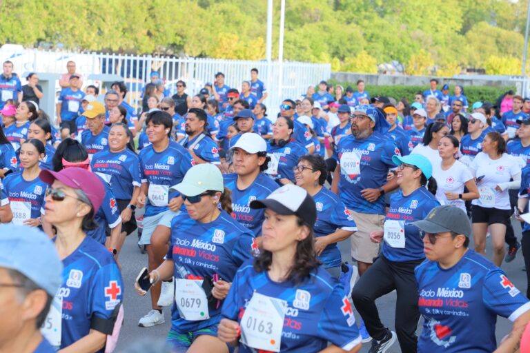 preparacion-16