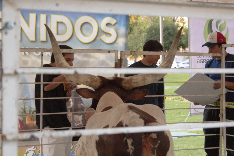 sabado-generales-12