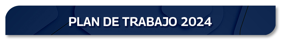 Plan de trabajo 2024