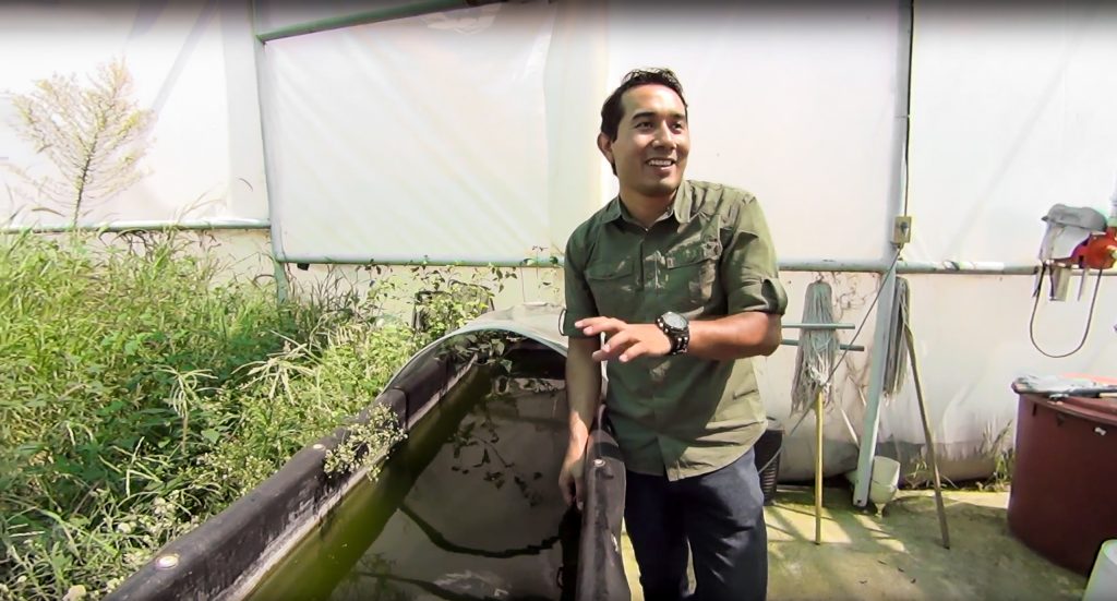UAA propone soluciones para maximizar el cultivo de camarón por medio de la tecnología llamada Bio-Floc
