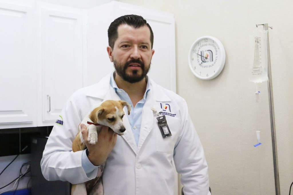 Hospital veterinario de la UAA a la vanguardia en atención a animales domésticos