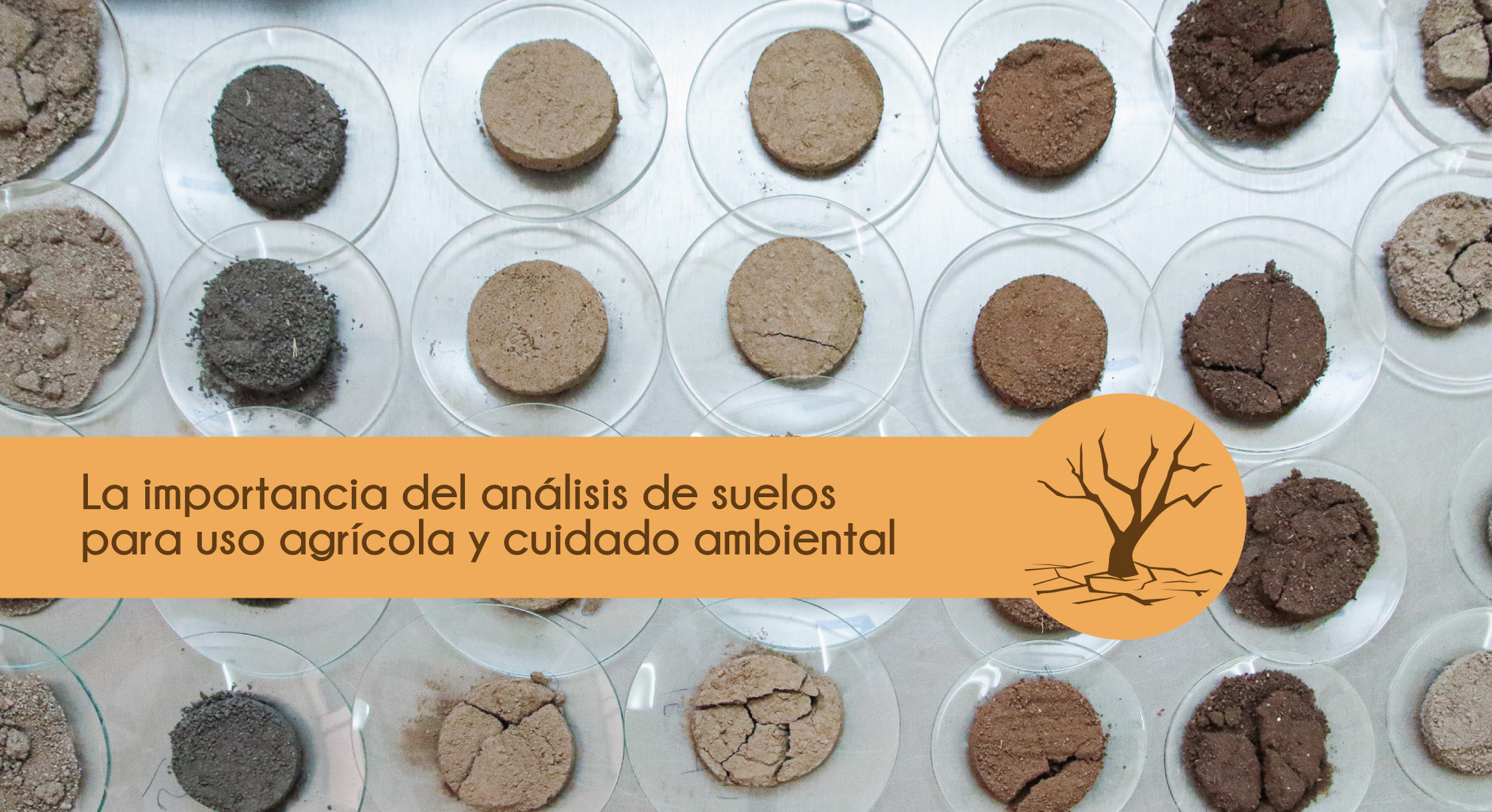 gaceta uaa
