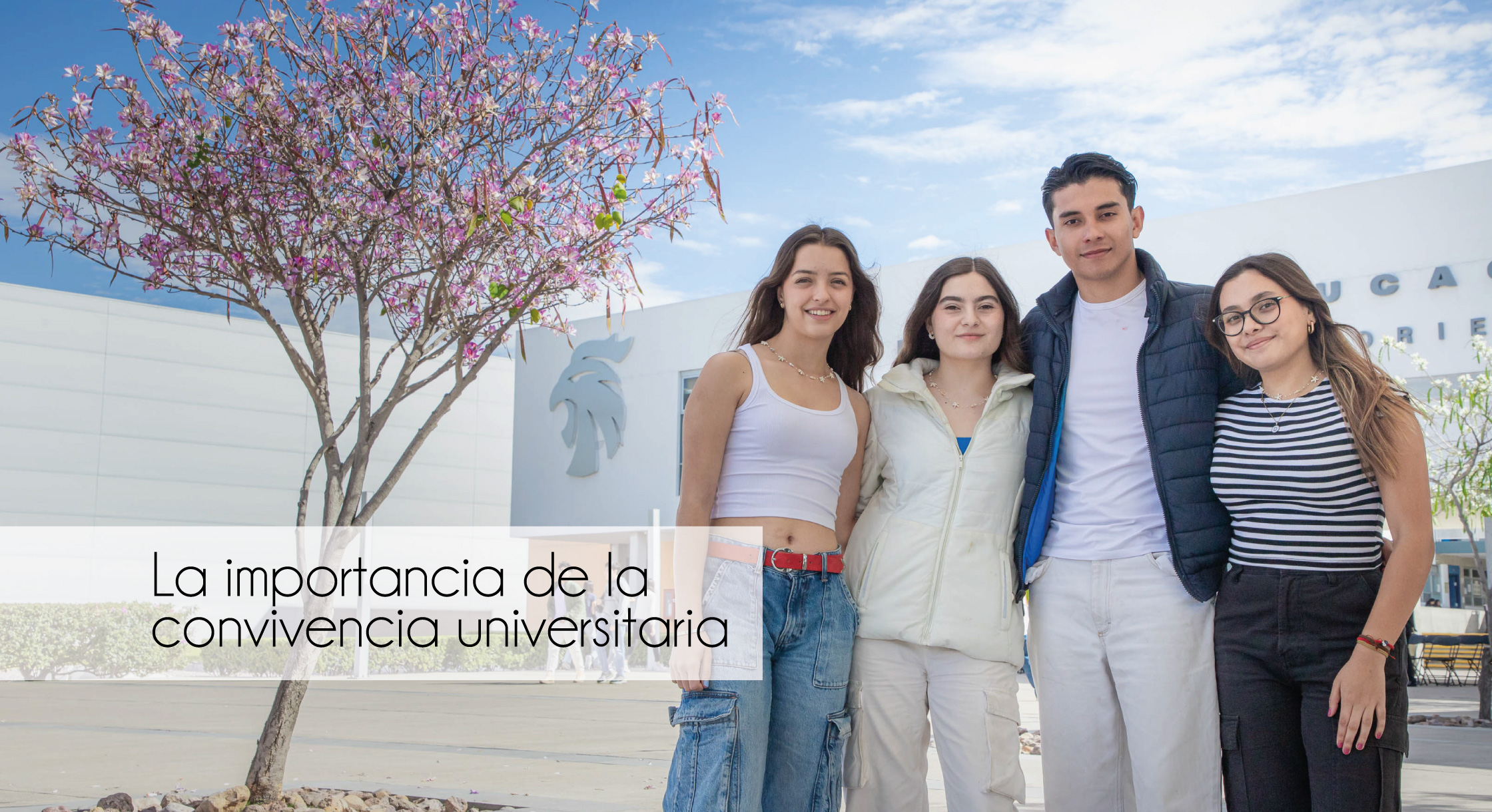gaceta uaa