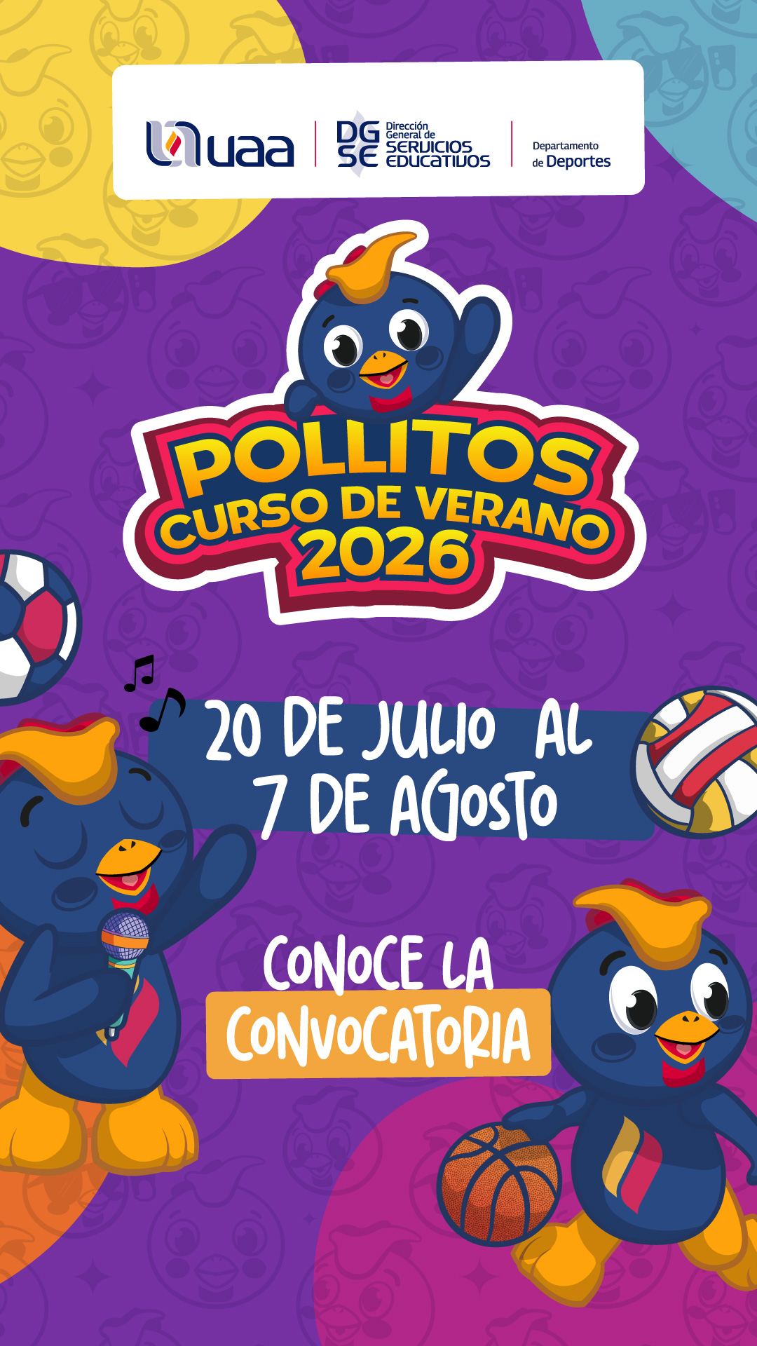 Curso de Verano Pollitos 2026