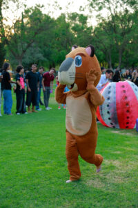 Mayo Gallo 2026 - _C7A2888