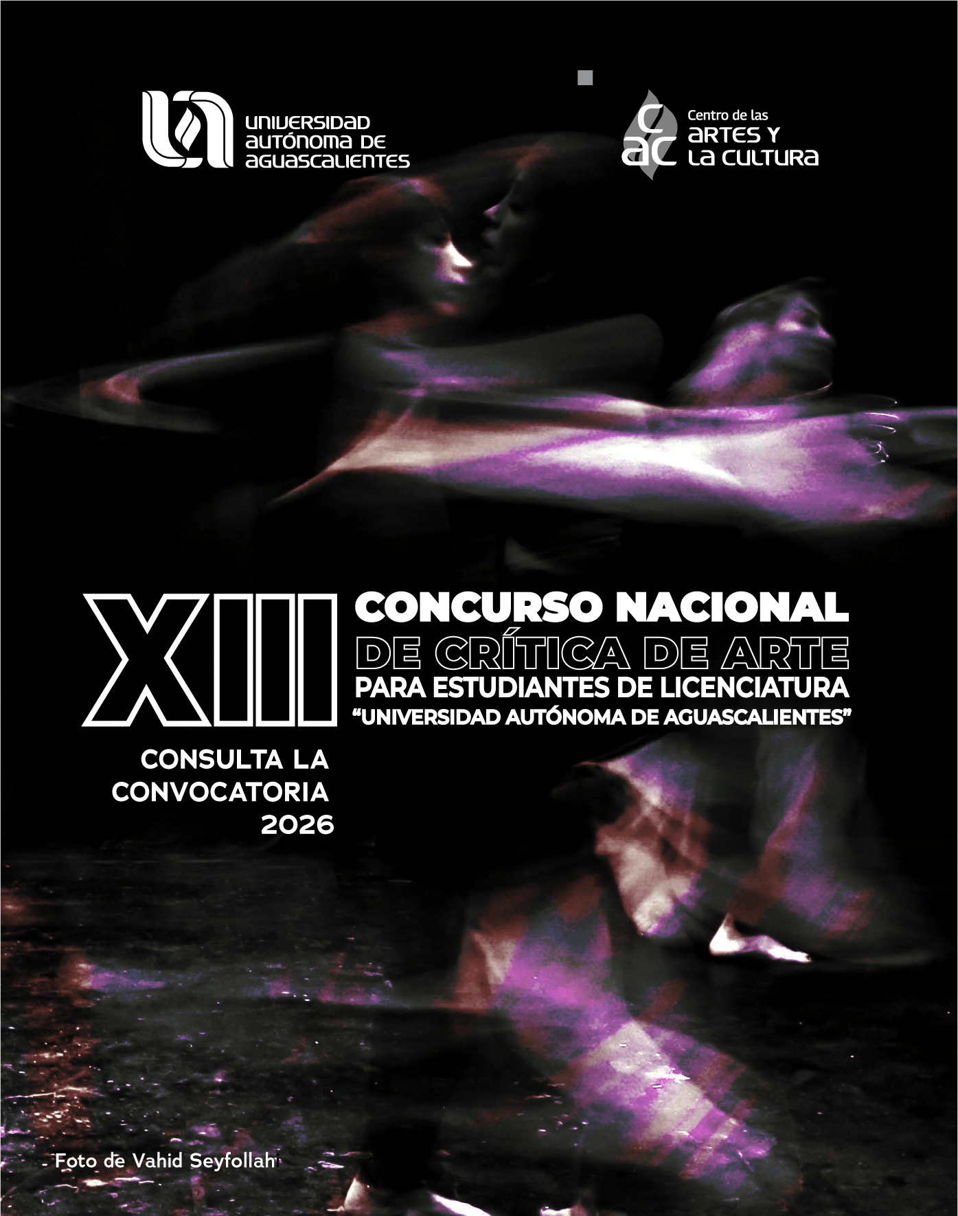 XIII Concurso Nacional de Crítica de Arte