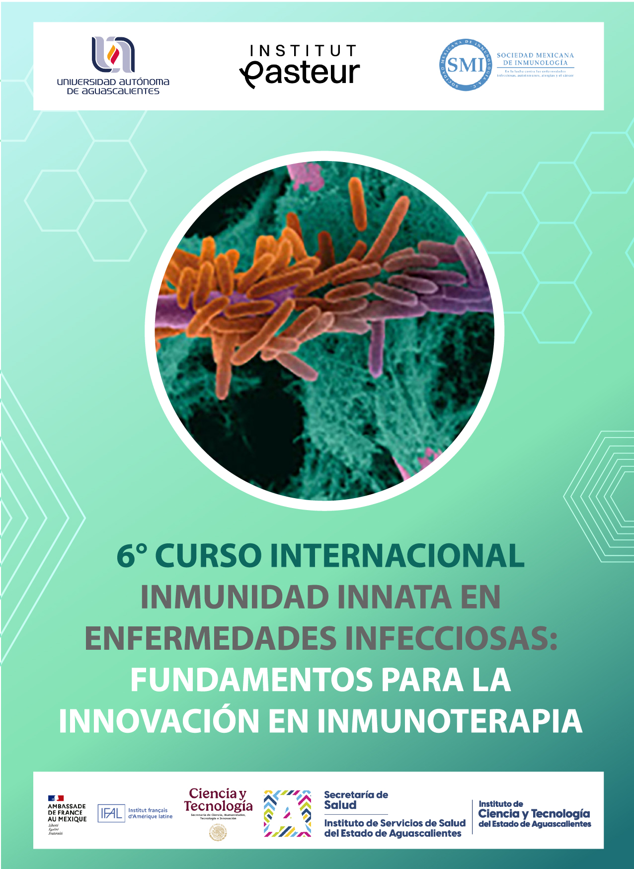 6o Curso Internacional Inmunidad Innata en Enfermedades Infecciosas