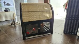 Estudiantes de la UAA reinventan el gallinero de traspatio para impulsar el autoconsumo de huevo
