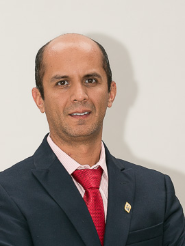 Mtro. Christian Flores Gutiérrez
