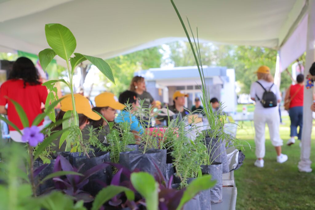 Regresa el Trueque Ambiental a la UAA en la 31.ª Feria Universitaria con reciclaje con causa y actividades familiares